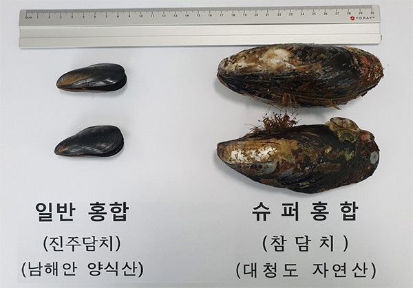 메인사진