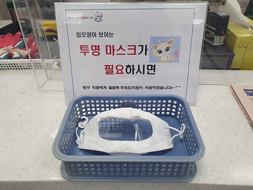 메인사진