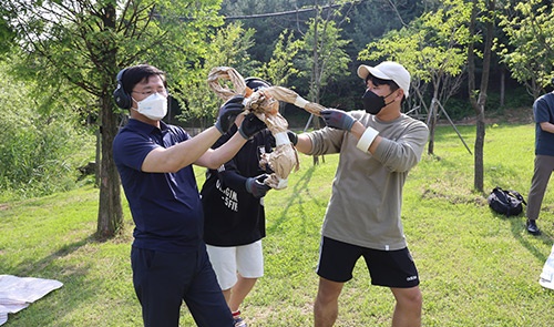 메인사진