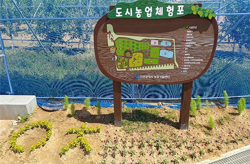 메인사진