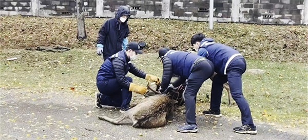 메인사진