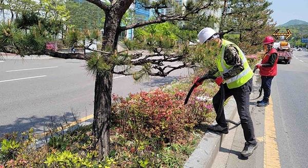 메인사진