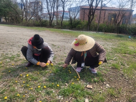 메인사진