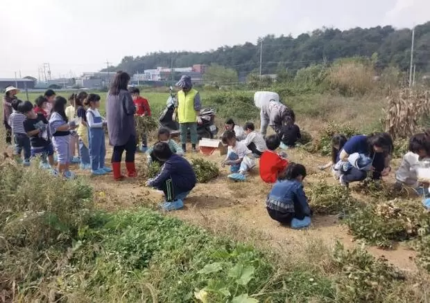 메인사진