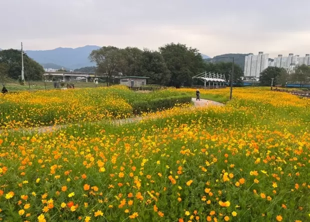 메인사진