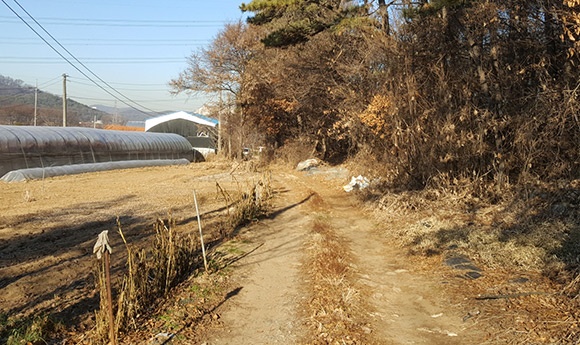 개발제한구역 해제지역 내 도로개설사업 추진(사사동 안골마을)