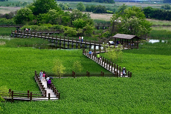 안산시, ‘2019 올해의 관광도시’ 선정(안산갈대습지공원)