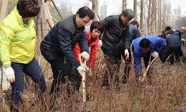 군포시 철쭉 식재