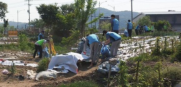 기흥저수지정화활동