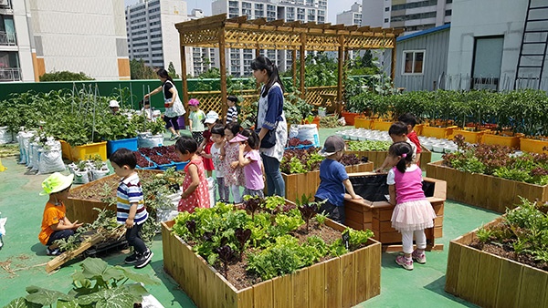 달안동 옥상텃밭