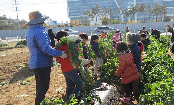 지난해 11월 1일 성남시민농원서 열린 무 수확 체험에 참여한 어린이들