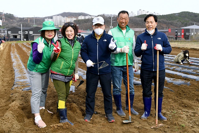 광주시 오포읍 새마을협의회, 사랑의 감자심기