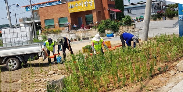 안성시 공도읍, 쓰레기 상습투기지역 화단조성