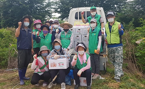 팔달구 고등동 새마을협의회, 사랑의 감자 나눔