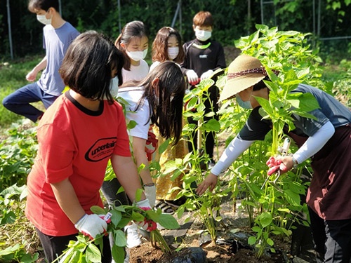 광주시, 학교 치유텃밭 큰 인기