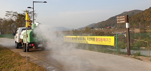 광주시, 고병원성AI 및 아프리카돼지열병 차단 방역 총력