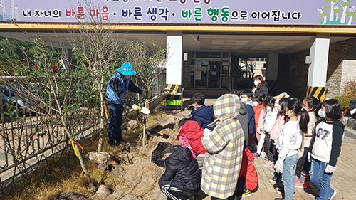 수원의 학교·공공기관에서 무궁화 더 많이 피어난다