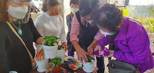 광주시, ‘홈 가드닝 치유농업’ 코로나블루 극복 지원