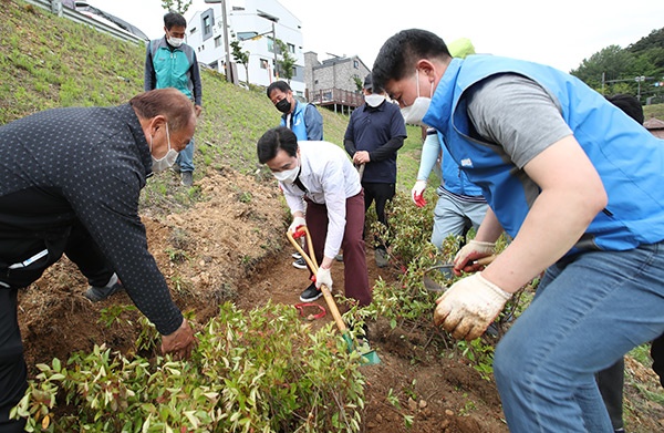 화성시 동탄8동 주민자치회, 주민과 함께 장지천 산책로 나무심기