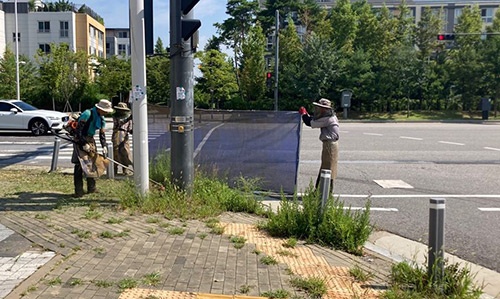 김포시 하반기 집중 도로변 환경정비 실시