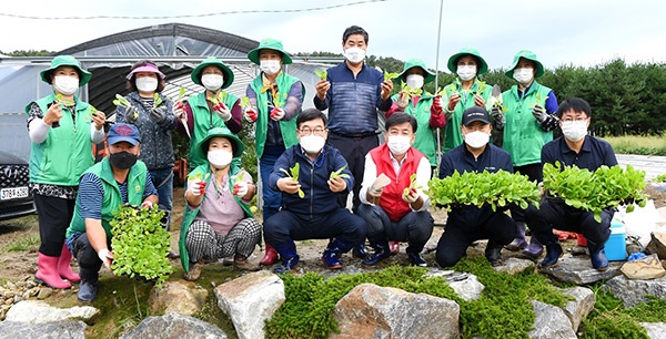 광주시 남한산성면 새마을협의회, 사랑의 김장배추 심기