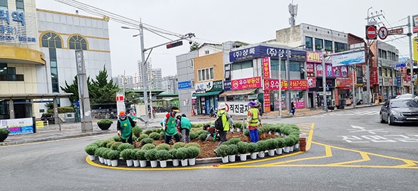 평택시 중앙동 새마을부녀회, 가을 꽃 심기