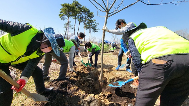 수원시, 시민과 함께 아름답고 쾌적한 도시숲 조성