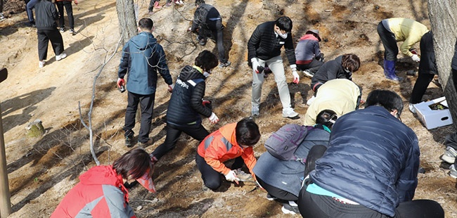 안성시, 식목일 기념 삼죽면 식목행사 추진