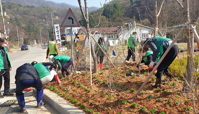 불현동 새마을남녀지도자회, 우리 마을 봄맞이 꽃심기 