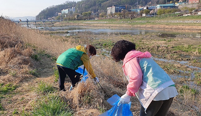 동두천시 새마을부녀회, 신천 환경정화 활동 줍깅데이 운동 실시