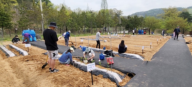 안성시, ‘도시농업공동체 공공텃밭’ 성황리 개장