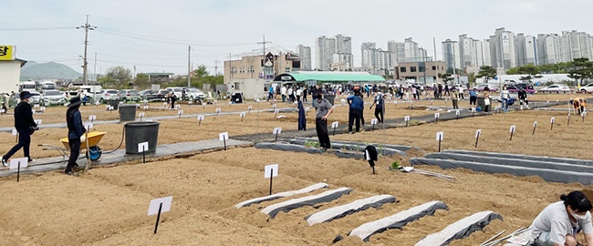 안성시, ‘도시농업공동체 공공텃밭’ 성황리 개장