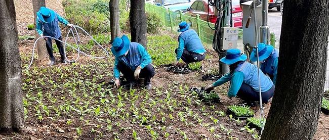 군포시 군포1동 경기행복마을관리소, 원도심 마을환경 깨끗이 단장