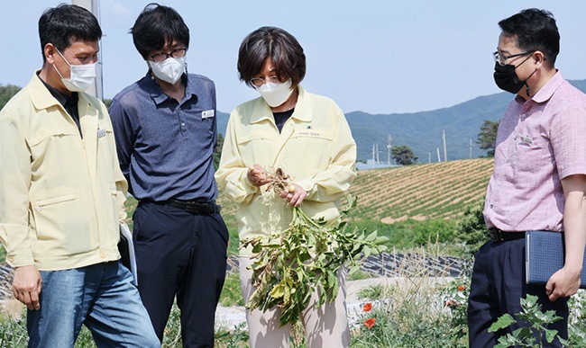 김보라 안성시장, 농번기 가뭄 피해 현장 점검