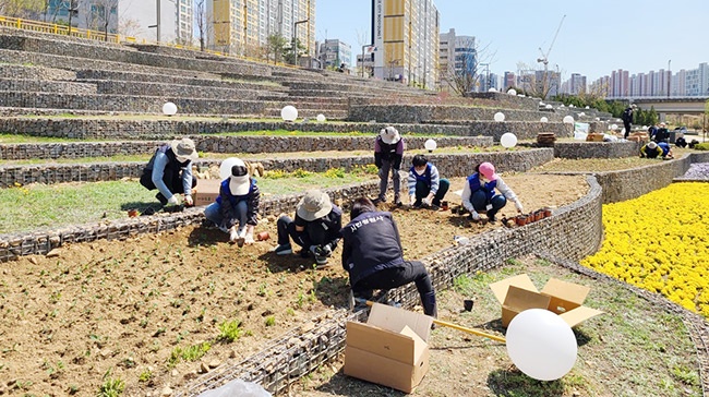 화성시, “시민과 함께 심은 꽃밭 보러오세요”