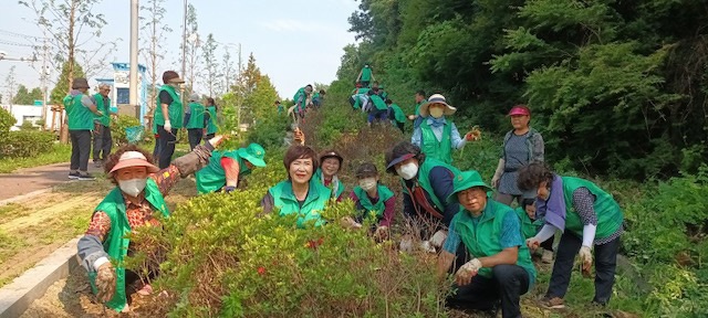 오산시 새마을회, 유엔군 초전기념비 환경정비 실시