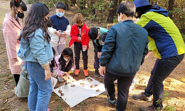 화성매송초, 칠보산 숲 생태 체험 교육 실시