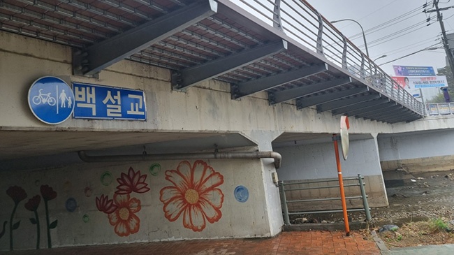 용인특례시, 도로구조물(교량) 긴급 안전점검 실시