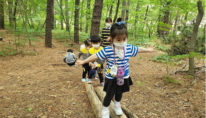 (사)자연생태교육연구소‘꿈을 키우며 놀면서 배우는 숲’ 과 찾아가는 유아숲 체험 프로그램 운영