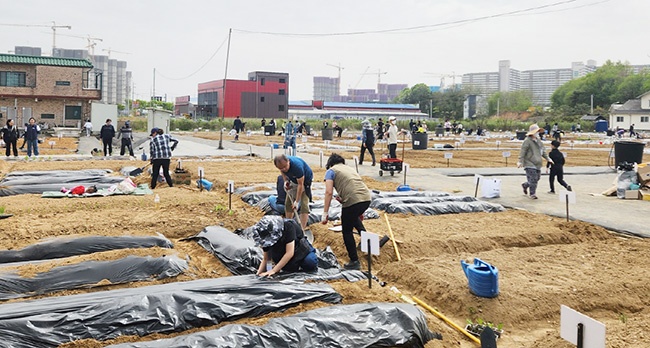 안성시 도시농업공동체 공공 친환경 텃밭 가꾸기 교육 실시