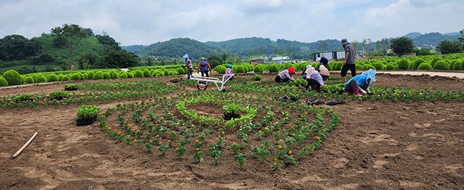 “중면, 임진강 댑싸리 공원 개장 막바지 준비”