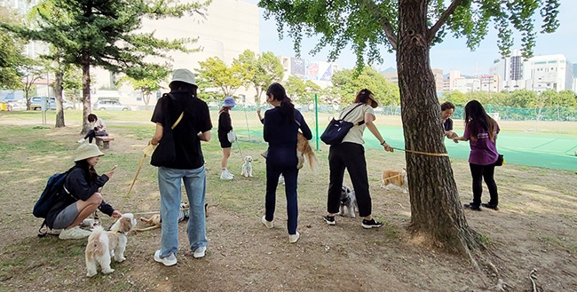 과천시, 내장형 동물등록 반려동물 보험가입 지원