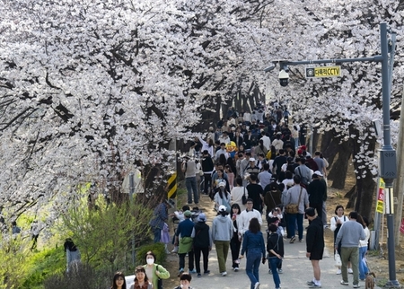 메인사진