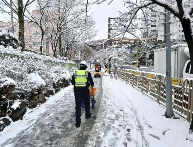 메인사진