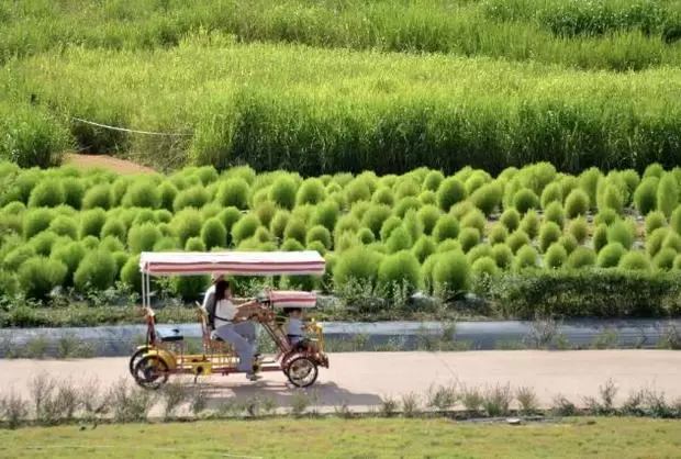 메인사진