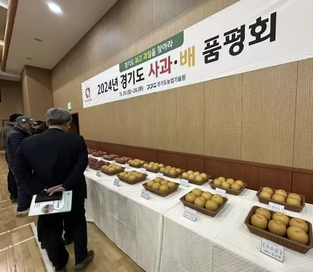 메인사진