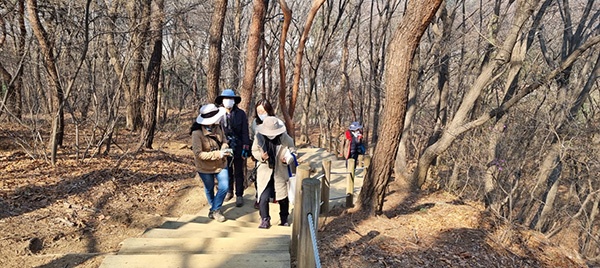 고양의 정발산, 생태 가치를 재조명하다