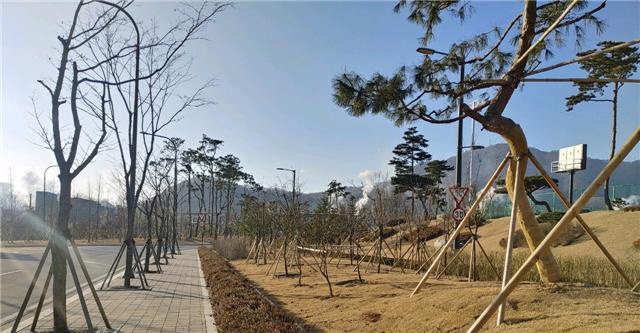 동두천시, 탄소중립도시 실현을 위한 미세먼지 차단 숲 조성사업 준공