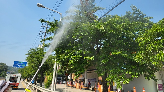 광명시, 러브버그 즉각 방제로 시민 불편 최소화 